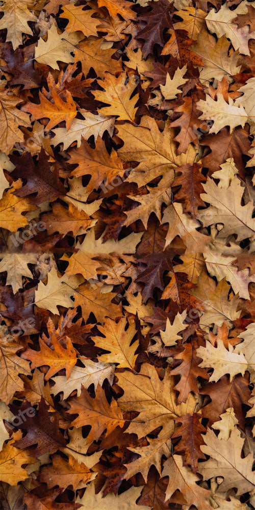 Kate Autumn Backdrop Leaves Designed by Chain Photography