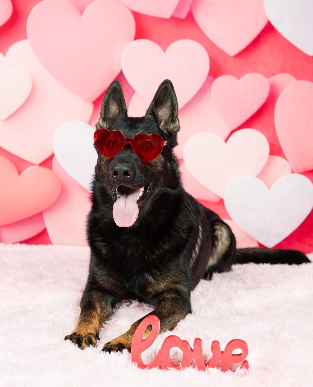 Kate Pet Valentine's Day Pink Love Paper Wall Backdrop for Photography