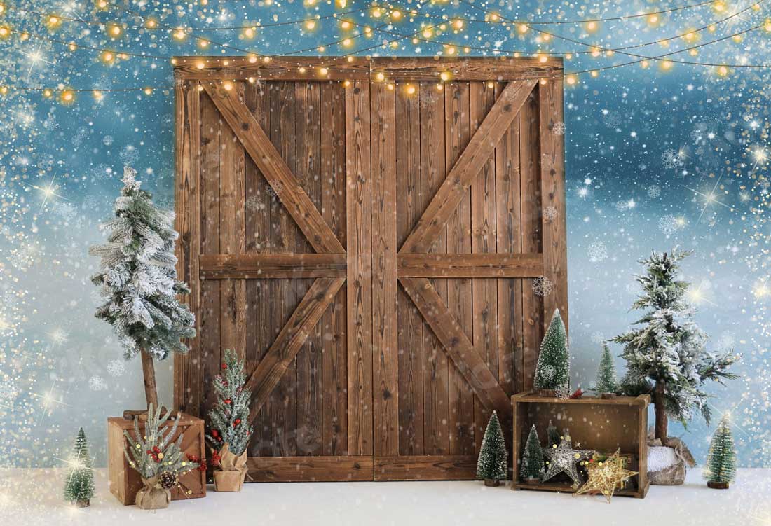Kate Christmas Barn Door Snow Backdrop for Photography