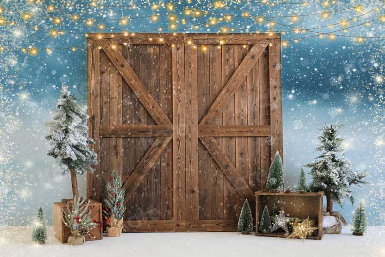 Kate Christmas Barn Door Snow Backdrop for Photography