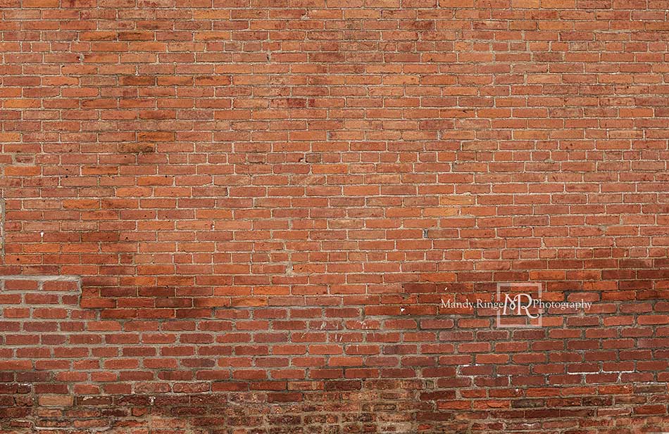 Kate Mixed Bricks Backdrop Designed by Mandy Ringe Photography