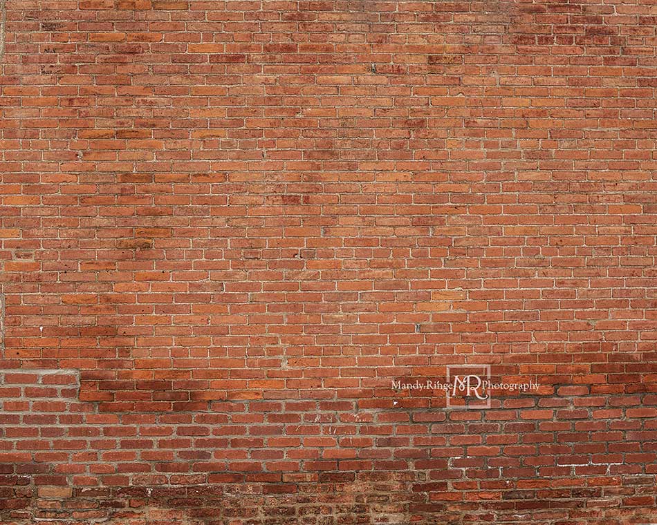 Kate Mixed Bricks Backdrop Designed by Mandy Ringe Photography