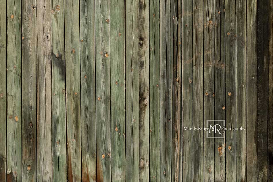 Kate Greenish Wood Boards Backdrop Designed by Mandy Ringe Photography