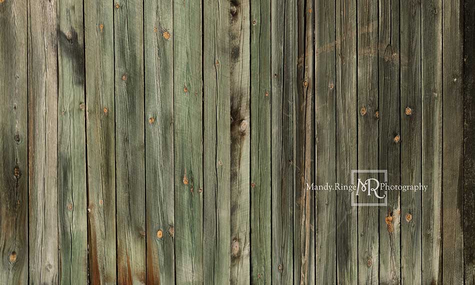 Kate Greenish Wood Boards Backdrop Designed by Mandy Ringe Photography