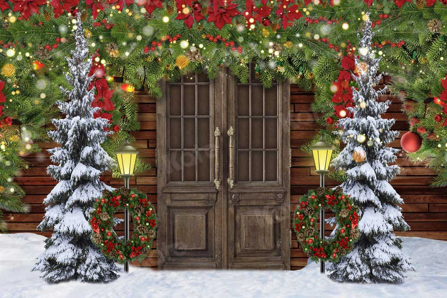 Kate Christmas Snow Barn Door Winter Backdrop