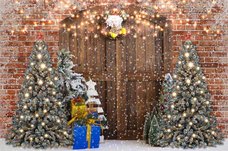 Kate Christmas Brick Barn Door Winter Backdrop for Photography