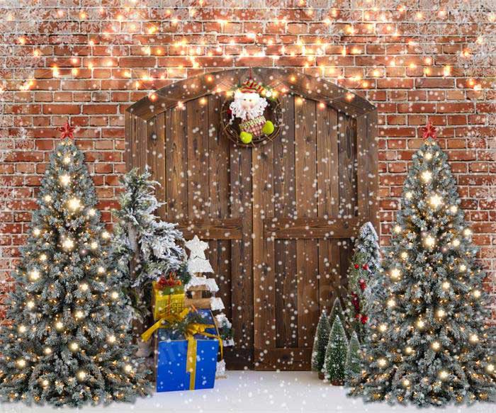 Kate Christmas Brick Barn Door Winter Backdrop for Photography