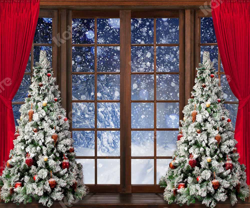 Kate Christmas Winter Snow Window Backdrop Designed by Chain Photography