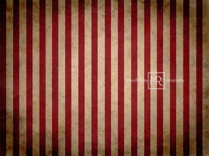 Kate Vintage Circus Stripes Backdrop Designed by Mandy Ringe Photography