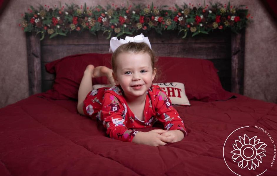 Kate Christmas Tree Backdrop Headboard for Photography Designed by Chain Photography