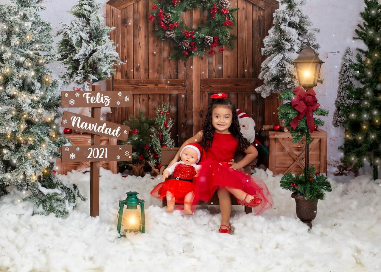 Kate Christmas Tree Backdrop Snow Winter Designed by Emetselch