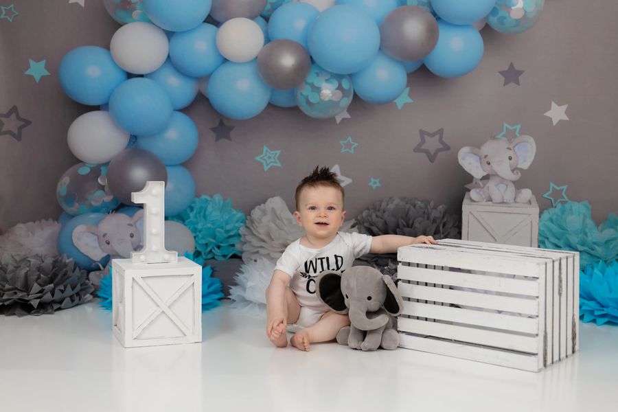 Kate Gray Wall Elephant Backdrop Cake Smash Blue Balloon for Photography Designed by Melissa King