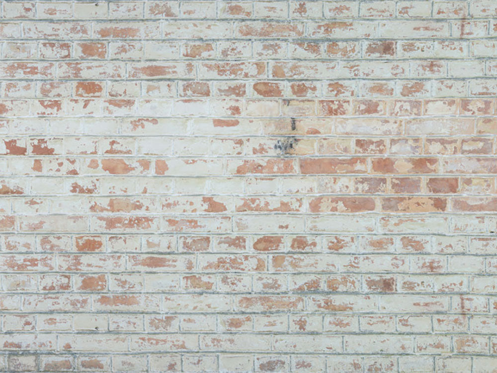 Kate Brick Wall Backdrop Do-old White for Photography