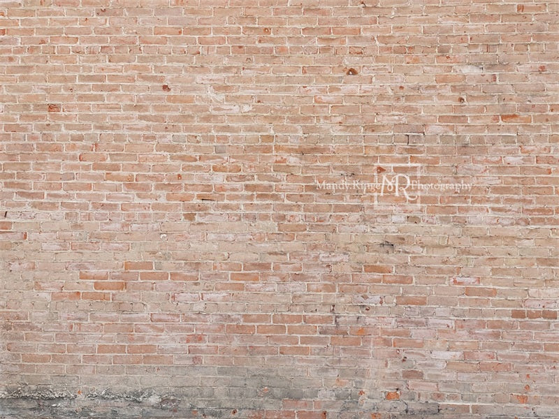 Kate Light Faded Bricks Backdrop Designed by Mandy Ringe Photography