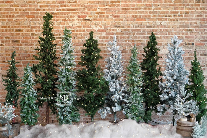Kate Christmas Trees Backdrop Brick Designed by Mandy Ringe Photography