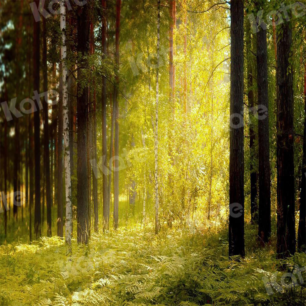 Kate Autumn Backdrop Sunlight Nature Forest Summer Elf for Photography