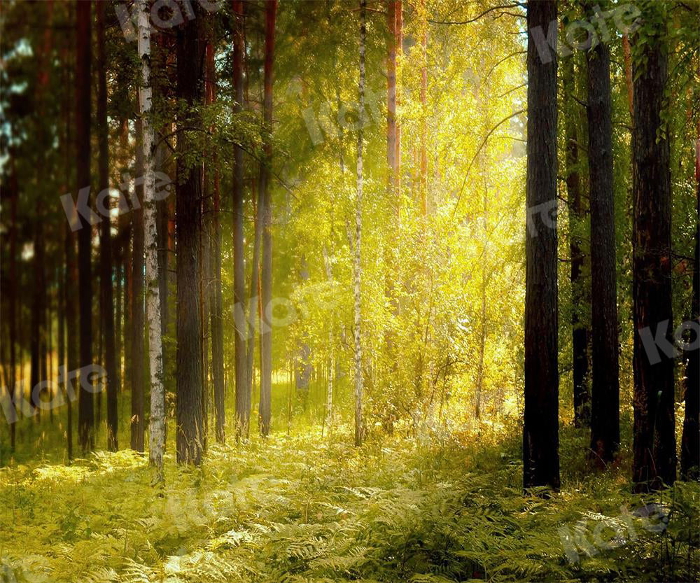 Kate Autumn Backdrop Sunlight Nature Forest Summer Elf for Photography
