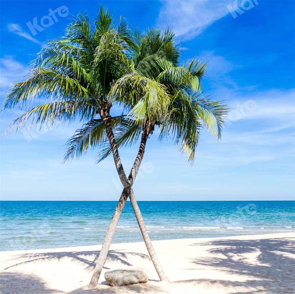 Kate Summer Backdrop Seaside Beach Blue Sky Designed by Chain Photography