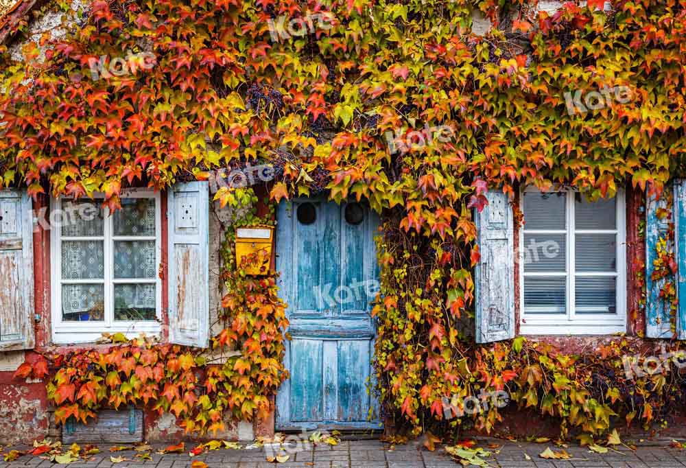 Kate Autumn Backdrop Outdoor Blue Door Leaves Nature Scene Designed by Chain Photography