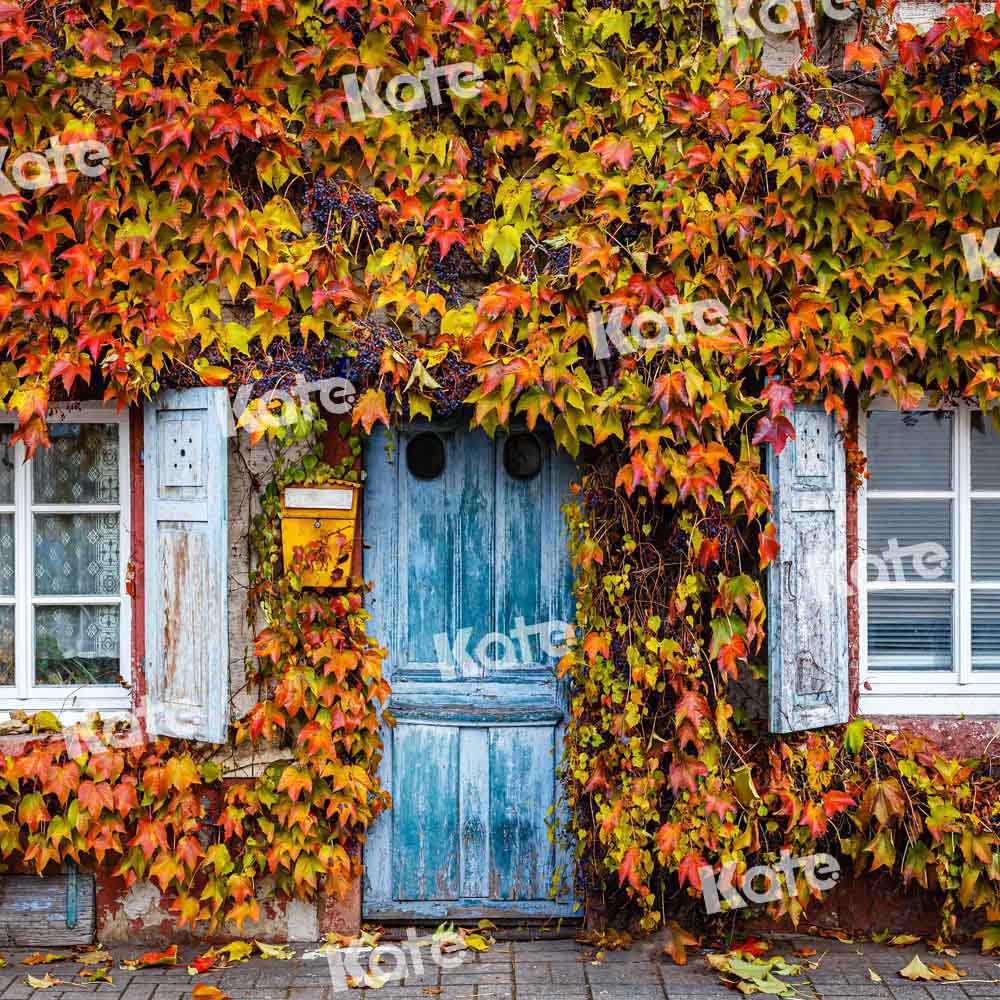Kate Autumn Backdrop Outdoor Blue Door Leaves Nature Scene Designed by Chain Photography