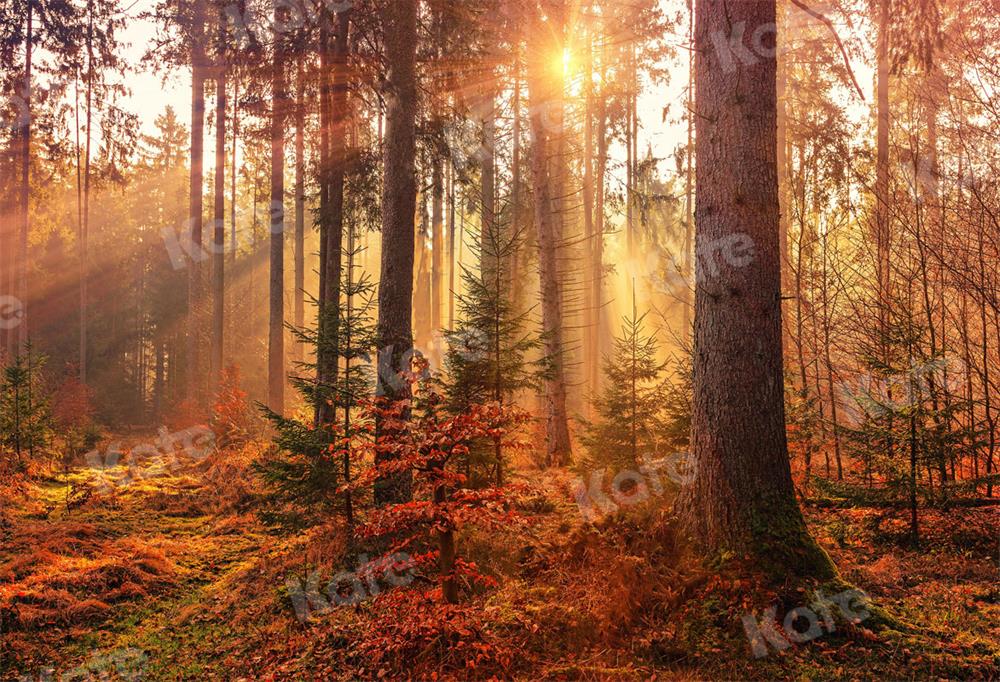 Kate Autumn Backdrop Forest Sun Light for Photography