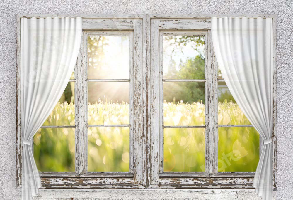 Rustic Sunlit Window Meadow Backdrop