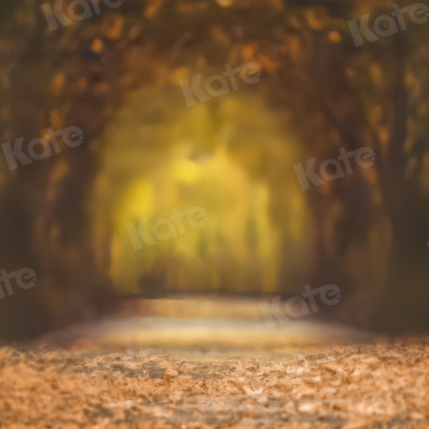 Kate Bokeh Backdrop Autumn Leaves Tree Path for Photography