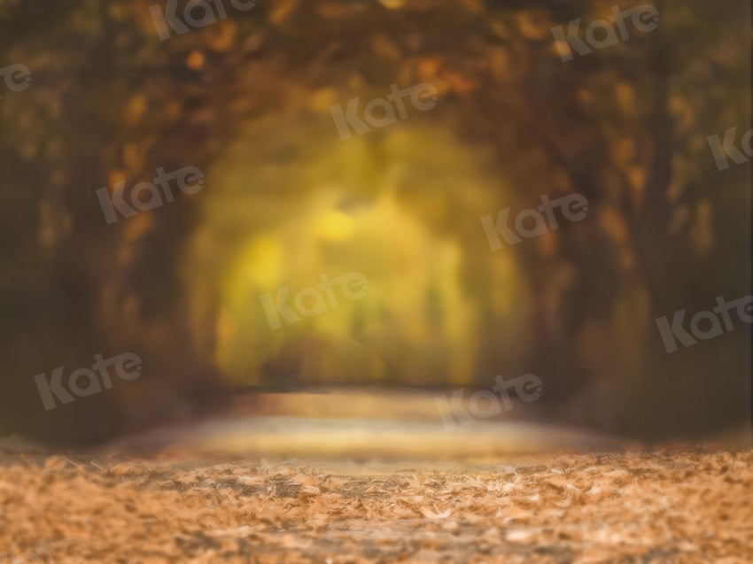 Kate Bokeh Backdrop Autumn Leaves Tree Path for Photography