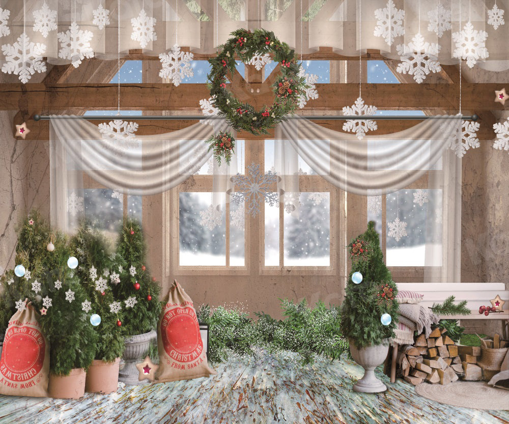 Kate Christmas Backdrop Indoor Window Snow for Photography
