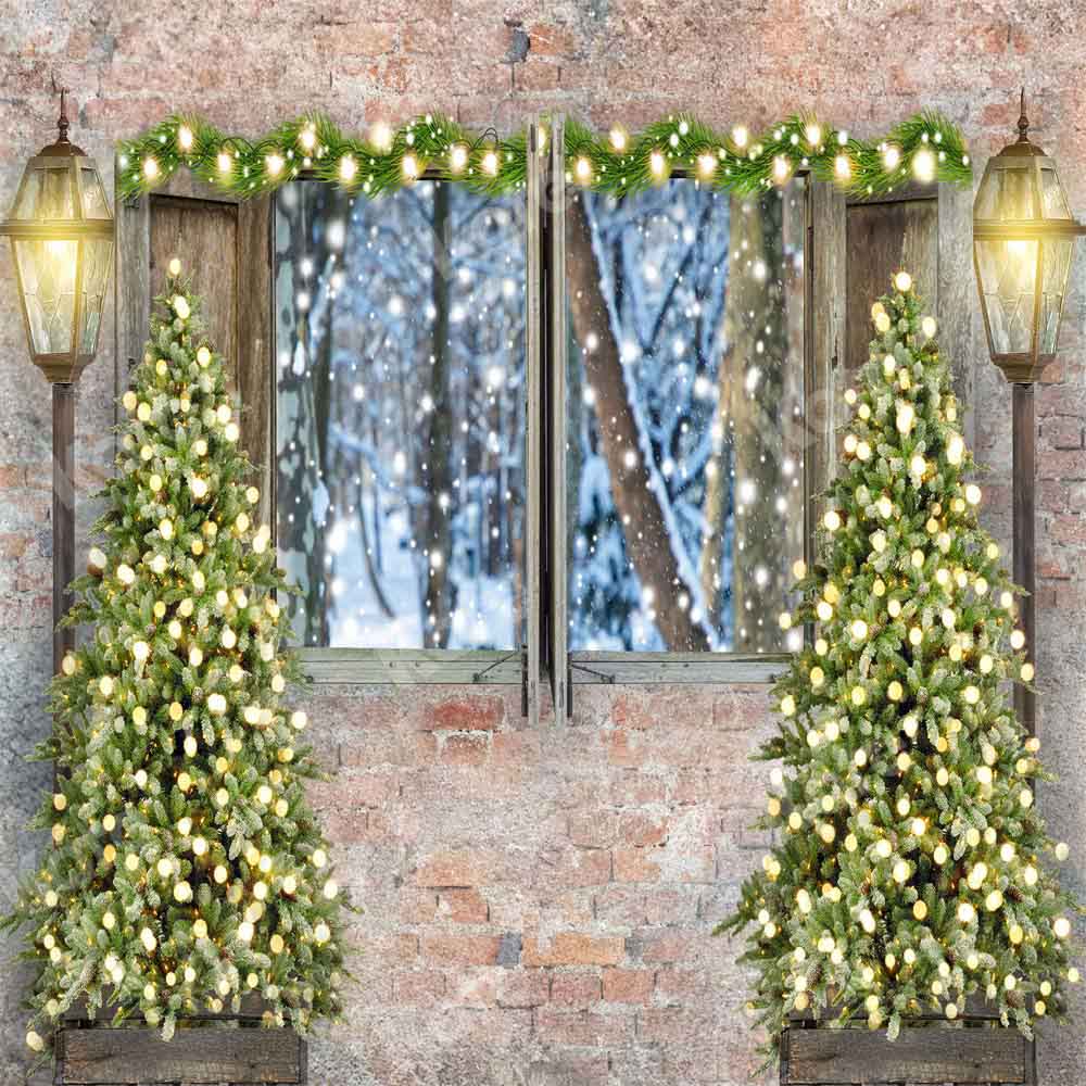 Kate Christmas Backdrop Tree Outwindow Snow Designed by Chain Photography