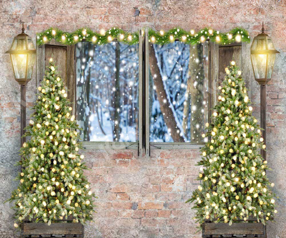 Kate Christmas Backdrop Tree Outwindow Snow Designed by Chain Photography