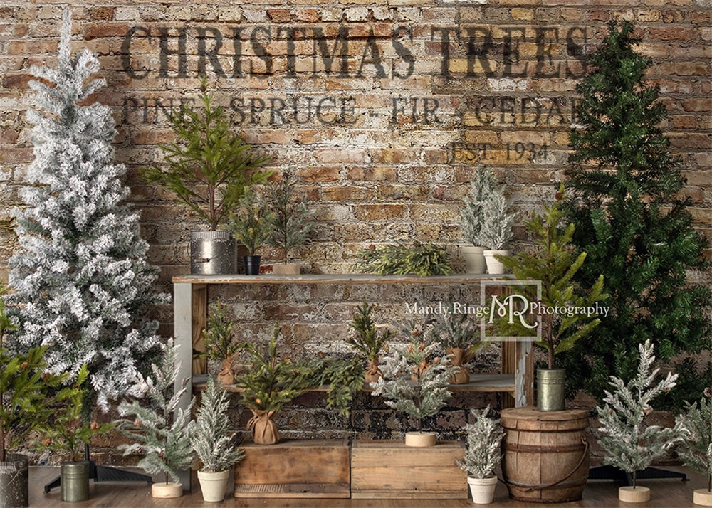 Kate Christmas Farm Fresh Tree Backdrop Designed by Mandy Ringe Photography