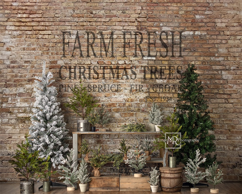 Kate Christmas Farm Fresh Tree Backdrop Designed by Mandy Ringe Photography