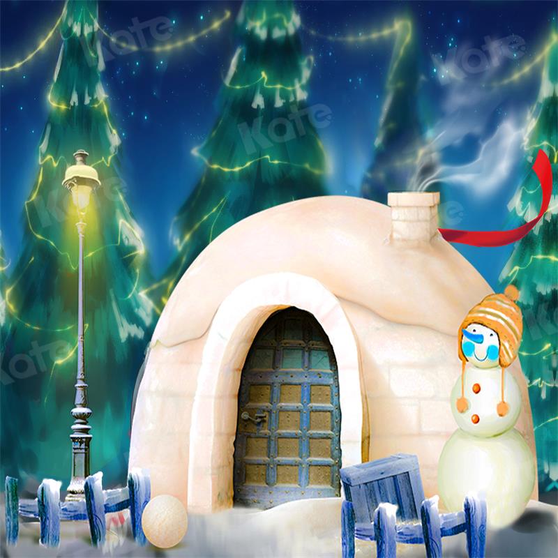 Kate Christmas Winter Backdrop Snow House Snowman for Photography