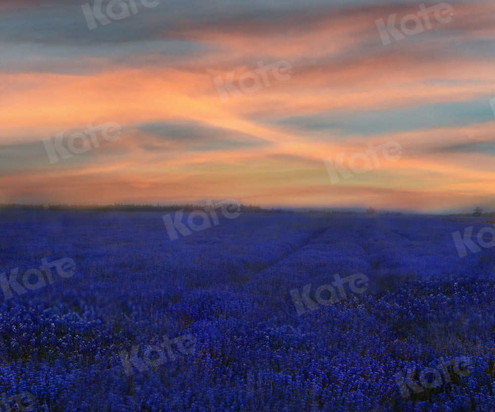 Kate Sunset Flower Backdrop Nature Lavender for Photography