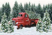 Kate Fondo Fotográfico 3x3m De Invierno Navideño Con Árbol, Regalos Y Coche Rojo, Ideal Para Retratos Familiares Y Sesiones De Estudio