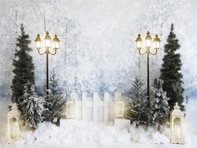 Kate Winter Outdoor Backdrop Snow Fence for Photography