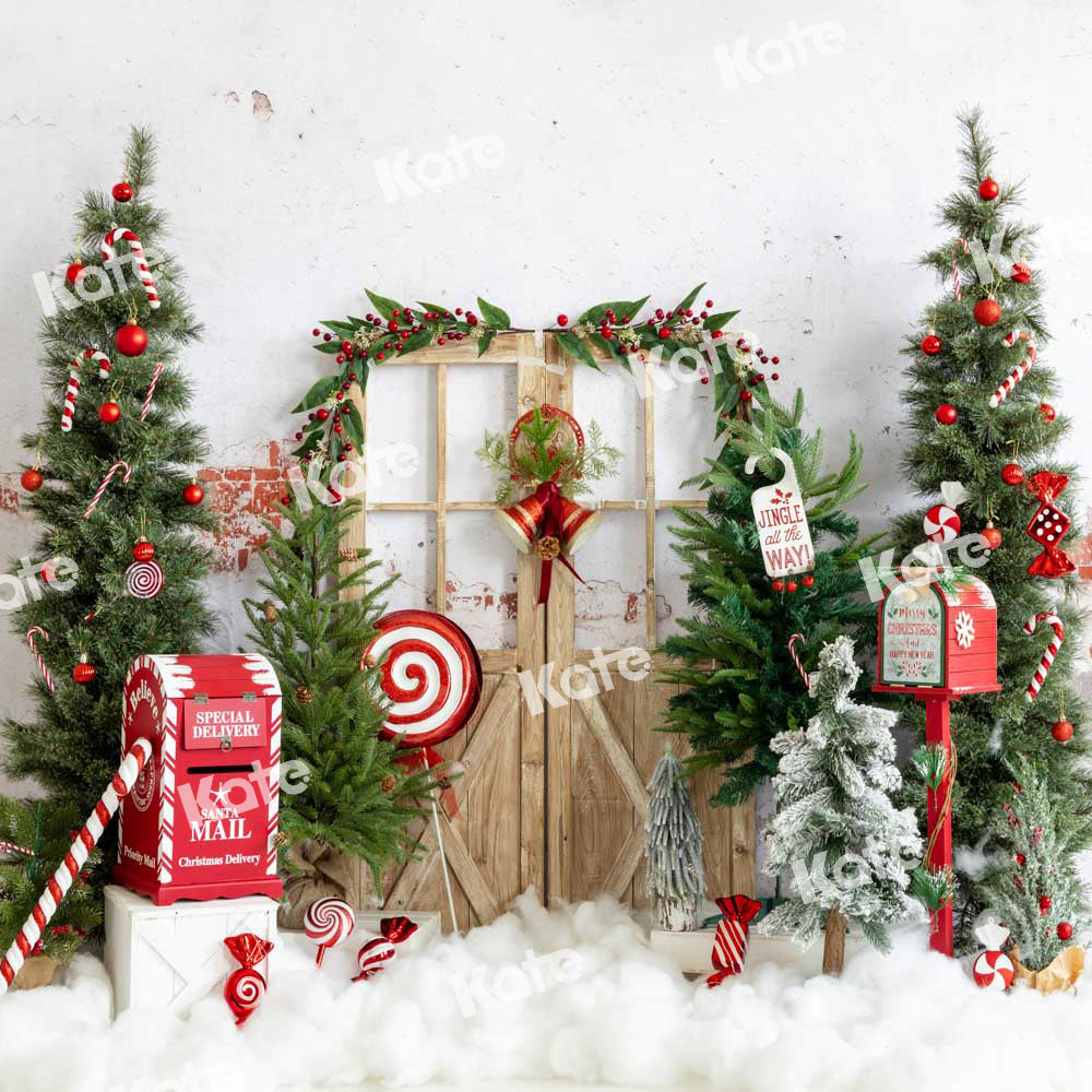 Kate Christmas Backdrop Mailbox Snow Designed by Emetselch