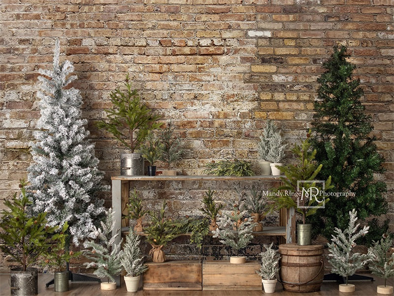 Kate Simple Christmas Tree Stand Backdrop Designed by Mandy Ringe Photography
