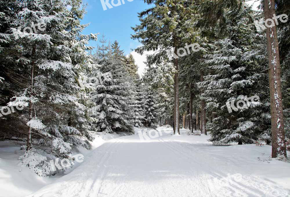 Kate Winter Backdrop Outdoor Christmas Trees Snow Designed by Chain Photography