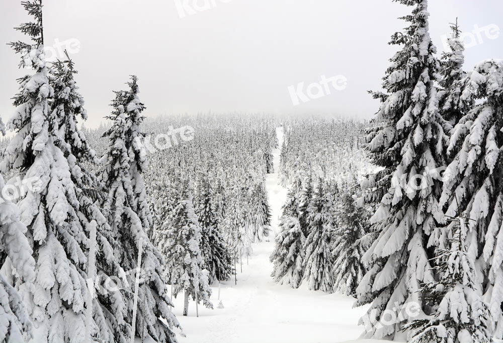 Kate Winter Backdrop Outdoor Christmas Trees Snow White World Designed by Chain Photography