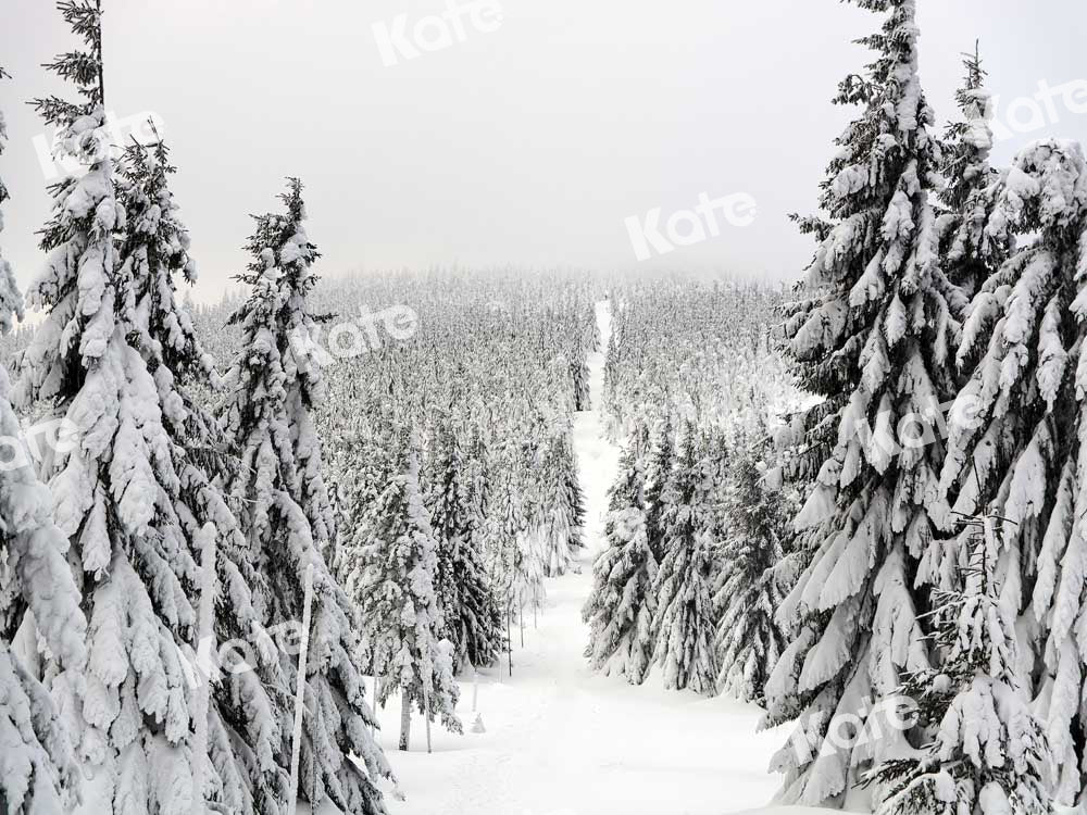 Kate Winter Backdrop Outdoor Christmas Trees Snow White World Designed by Chain Photography
