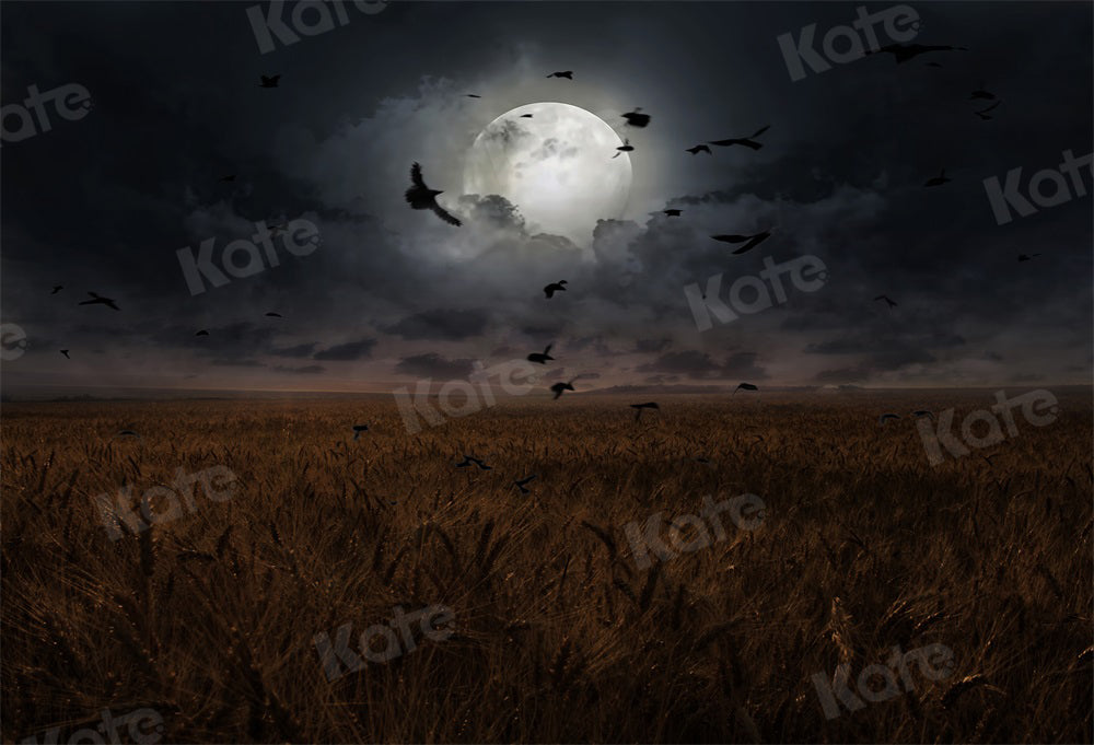 Kate Halloween Backdrop Night Moon Wheat Field for Photography