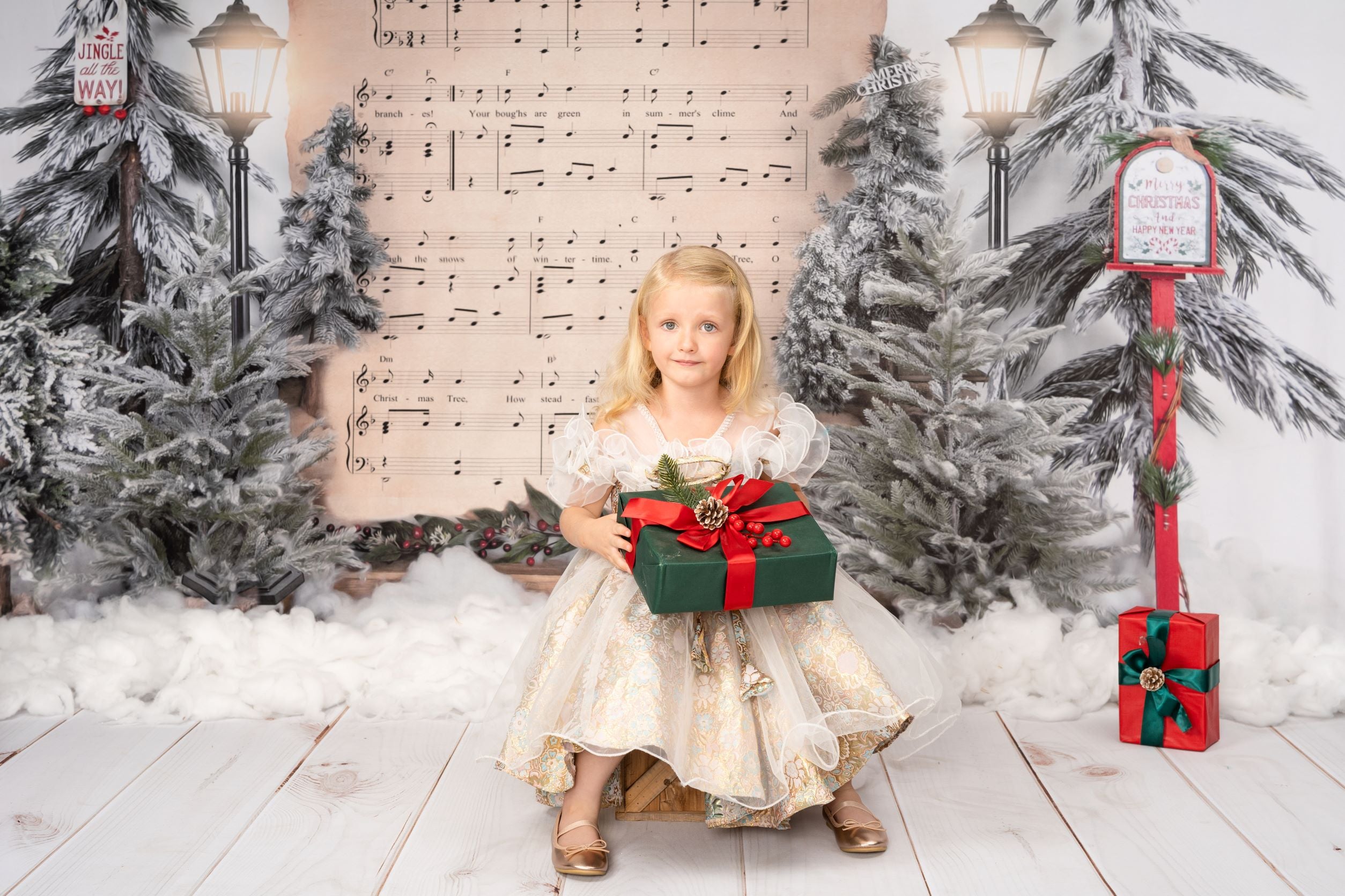 Kate Christmas Backdrop Song Stationery Designed by Uta Mueller Photography