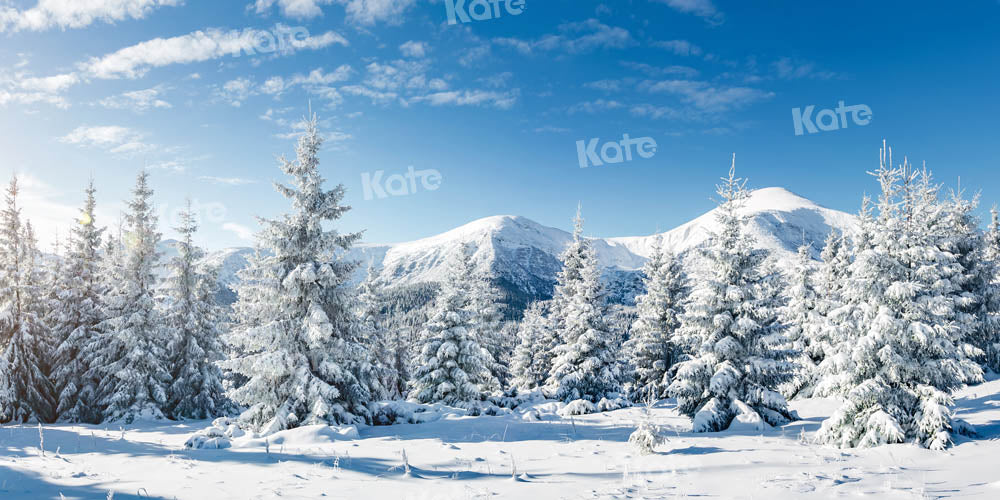 Kate Forest Snow Blue Sky Winter Backdrop Designed by Kate Image
