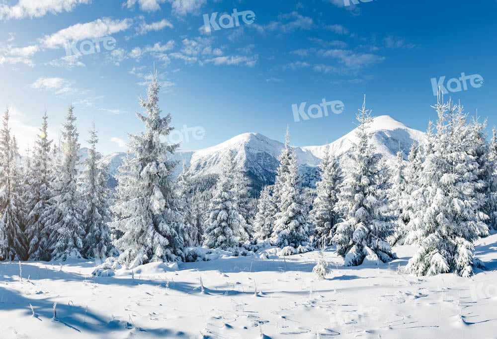 Kate Forest Snow Blue Sky Winter Backdrop Designed by Kate Image
