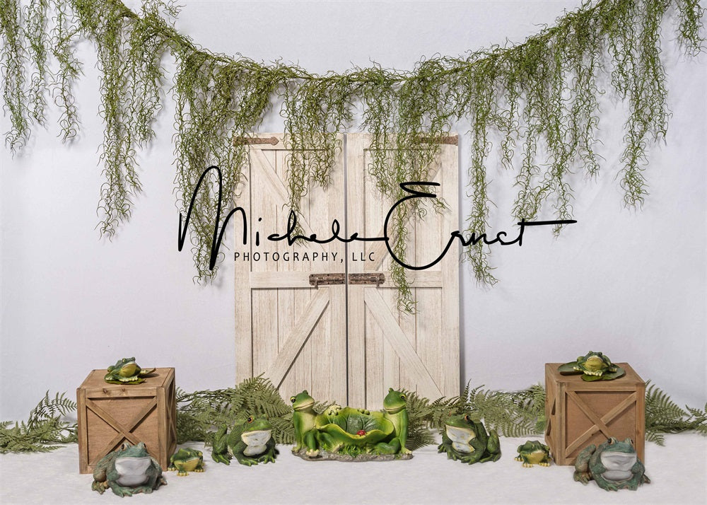 Kate Frogs Barn Backdrop Designed By Michele Ernst Photography