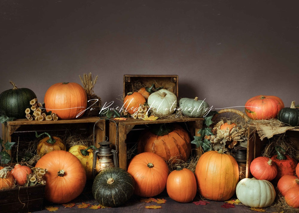 Kate Pumpkin Patch for Photography Designed by Jo Buckley Photograph