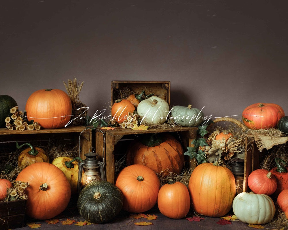 Kate Pumpkin Patch for Photography Designed by Jo Buckley Photograph