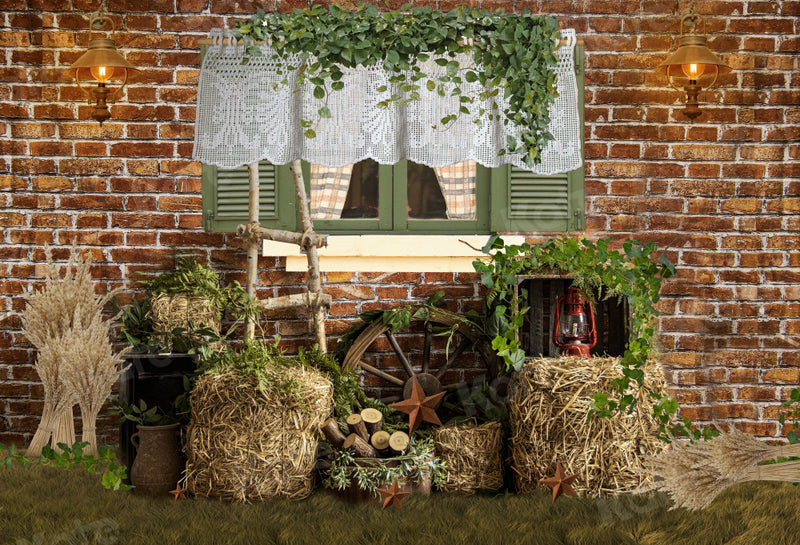Rustic Farmhouse Vintage Charm Backdrop